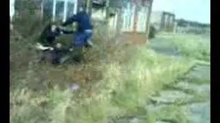 Brambles :D