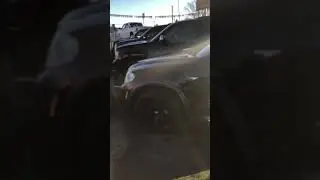 Kenny Avila El Periko Buchon I GOT THE TRUCK/CAR YOU WANT IF NOT ILL GET IT FOR YOU🙌🏼🤠🚗🚙🤠