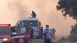 LIVE: Wildfires rage in Turkey's Bodrum