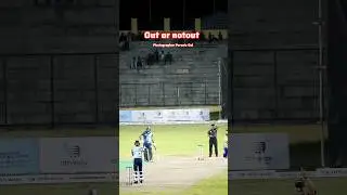 batter not satisfied umpires design #lbw #umpirescall