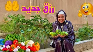 رجعت بيتي ولقيت الخير في انتظاري 🤗 مكنتش متوقعة الجمال ده