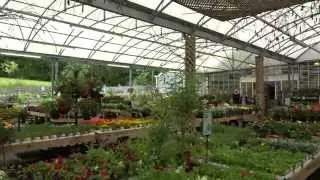 Derby Garden Centre