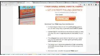 Viral Traffic Secrets (Free Download)