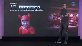 Distúrbios da Hemostasia Primária: O Que São e Como Afetam a Coagulação?