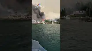 Newfoundland wildfire destroys multiple cabins