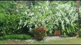 Barish cyclonenisarga
