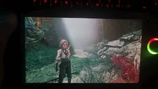 Expedition 33 on ROG Ally X (Epic settings)