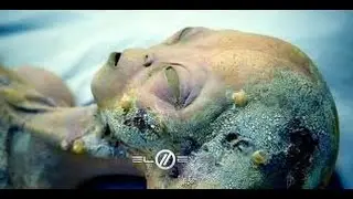 Simon Parkes The Alien Agenda August 2015 ✪ Disclosed Truth Channel HD