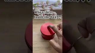 Air Dry Clay Ideas | Who&rsquo;s inside the box?? #shorts #clayart #claycraft