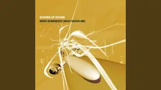 Need Somebody (Who Needs Me) (V.O.C.O. Radio Mix)