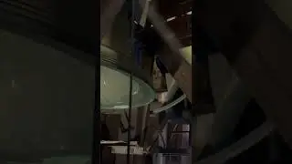 Groningen martinitoren, uitluiden van de kleine borger en de kromstaart.