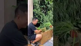 Google Greenwall Project Sustainability