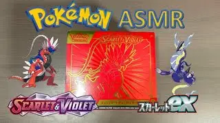 ASMR Opening Pokémon Card Packs | SCARLET & VIOLET Elite Trainer Box! (No Talking)