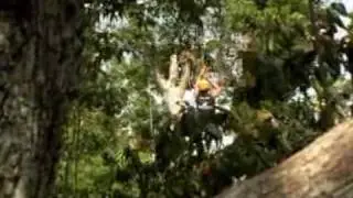 Extreme Canopy Adventure   Zip Lines Tours, Selvatica The Adventure Kingdom   Exceeding your Expectations