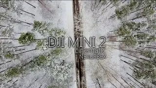 DJI MINI 2 Cinematic | Winter in the Poland. NEXURBEX.