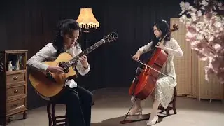 《