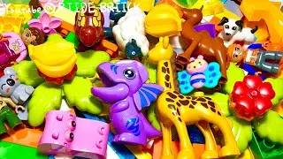 Watch This to Relax Your Mind 🌊 Anxiety Relief Marble Run 🕊️