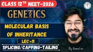Molecular basis of inheritance-Lec-11|by-Anmol Sir|Splicing,Capping-tailing of hnRNA|Full clarity