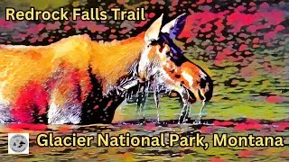Glacier National Park Montana Fishercap Lake Redrock Falls Bear Day 8
