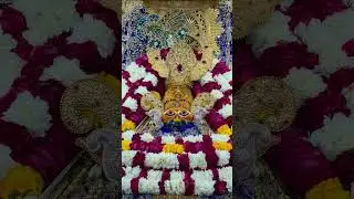 love you baba Shyam 🚩🚩🌹 🙏🏻🙏🏻🙏🏻🚩🚩🚩&hearts;️&hearts;️