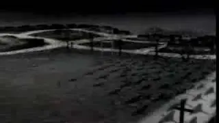 Dimmer - Seed