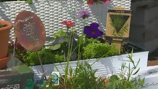 You Can Grow It: Gardening gift ideas for Mother's Day