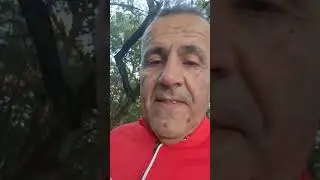 L'anno francescano 