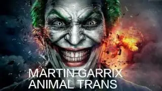 MARTIN GARRIX ANIMAL TRANS