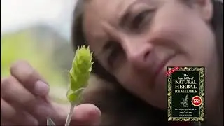 The secret world of herbs in the Balkans🍀