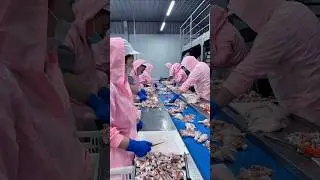 Как обрабатывают и упаковывают курицу на китайских фабриках #InsideTheFactory