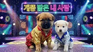 '개똥 밟은 내 사랑' 뮤비 풀 버전