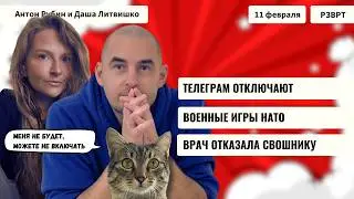 РЗВРТ | Телеграм отключают. Военные игры НАТО. Врач отказала СВОшнику | 11.02.2026