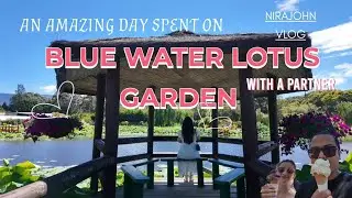 Can&rsquo;t Believe We Saw Giant Amazon Water Lily 😳 | Blue Lotus Garden #victoria #melbourne 
