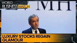 What LVMH's results tell us about the global economy | World Business Watch | WION