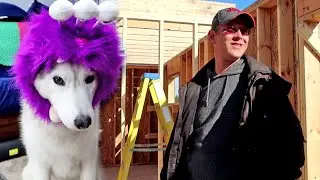Jamie Is Building a House! And the Dogs are Monsters!
