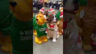 *CUTEST* HOME DEPOT CHRISTMAS DECOR! #christmas #christmasdecor #homedepot #holidaywithyoutube
