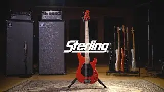 Ernie Ball Music Man Sterling 4 Bass