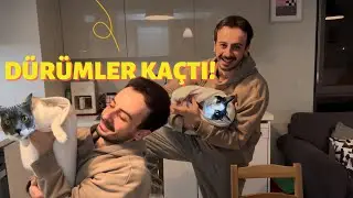KEDİLERİMİN İLGİNÇ OYUNCAKLARI! (BONUS KEDİ DÜRÜM)