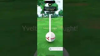 First raid Shiny Yveltal!!!!!!