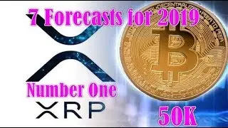 XRP Could Become Number One -  7 Forecasts for 2019 by Weiss Ratings