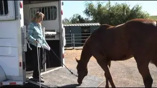 How To Solve Horse Trailer Loading Issues