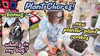 Plant Chores | Potting Up Plants | New Plant Planter Combos | What’s In My Bag