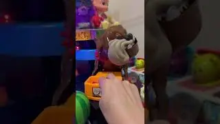 Oh Beware of Dog Tricky Funny Dog Bad Dog Toy #trending #viralvideo #shortsfeed #bone #asmrsounds