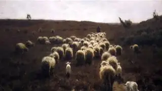 Dieren op doek - Schapen van Mauve
