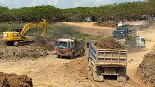 146: Dynamic Collaboration: CAT 323GX & HYUNDAI 220-7H Excavators with Dump Trucks in Operation!
