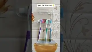 DIY Life Hack Brush Holder #Shorts #reels #lifehack #trending #DIY #hack #idea #tips #craft #songs