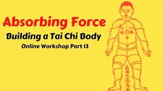 Neutralizing Force | Build a Tai Chi Body - Online Workshop Part 13