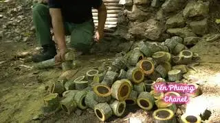 Build a shelter in the native forest to spend the night alone.