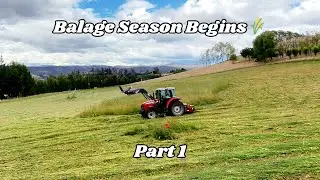 Baleage Season Begins 🌾 | Two Days of Mowing Paddocks (Part 1)