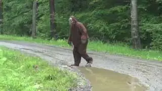 BIGFOOT CAUGHT ON TAPE - THE BEST VIDEO EVIDENCE EVER